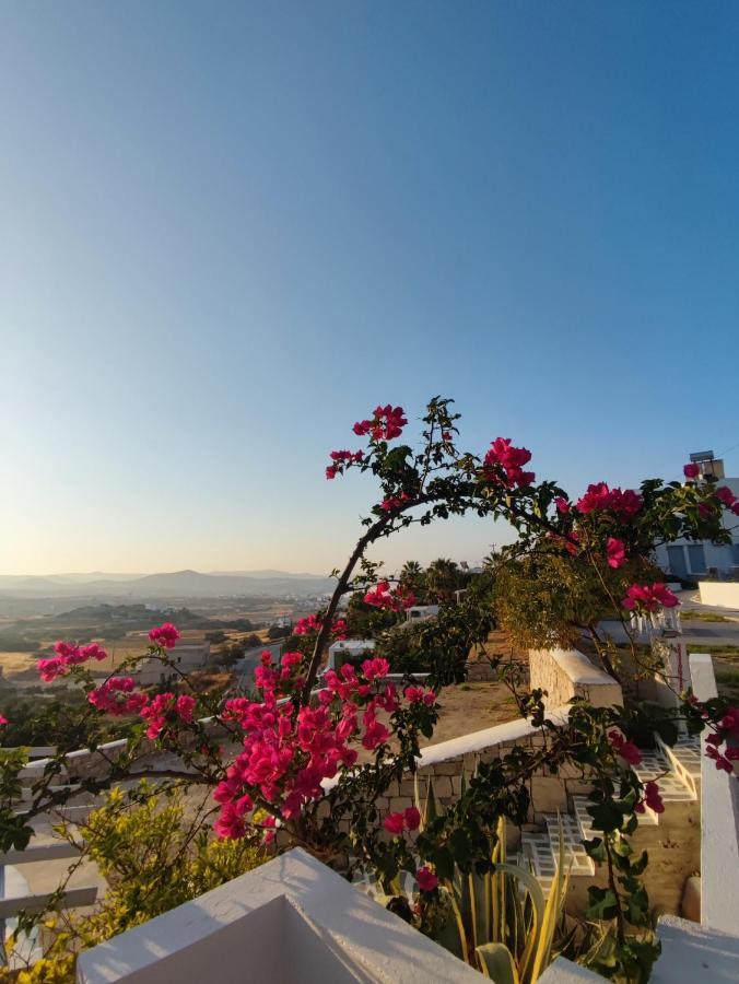 Agnanti Hotel Adamantas  Dış mekan fotoğraf